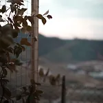 Ca' Natalia Nyaraló *