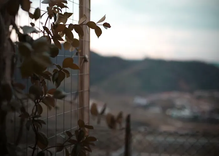 Ca' Natalia Vakantiehuis *